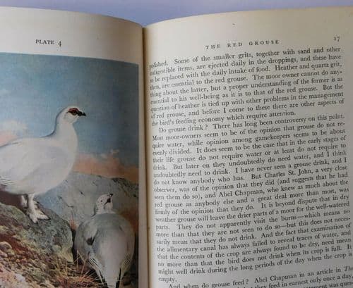 British Game Brian Vesey-Fitzgerald 1940s book 1946 deer birds wildfowl 1st