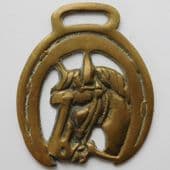 Vintage horse brass Horse head framed by lucky horse shoe Equestrian Animal Farm