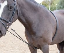 SHIRES SOFT LUNGE SYSTEM - RRP £24.99
